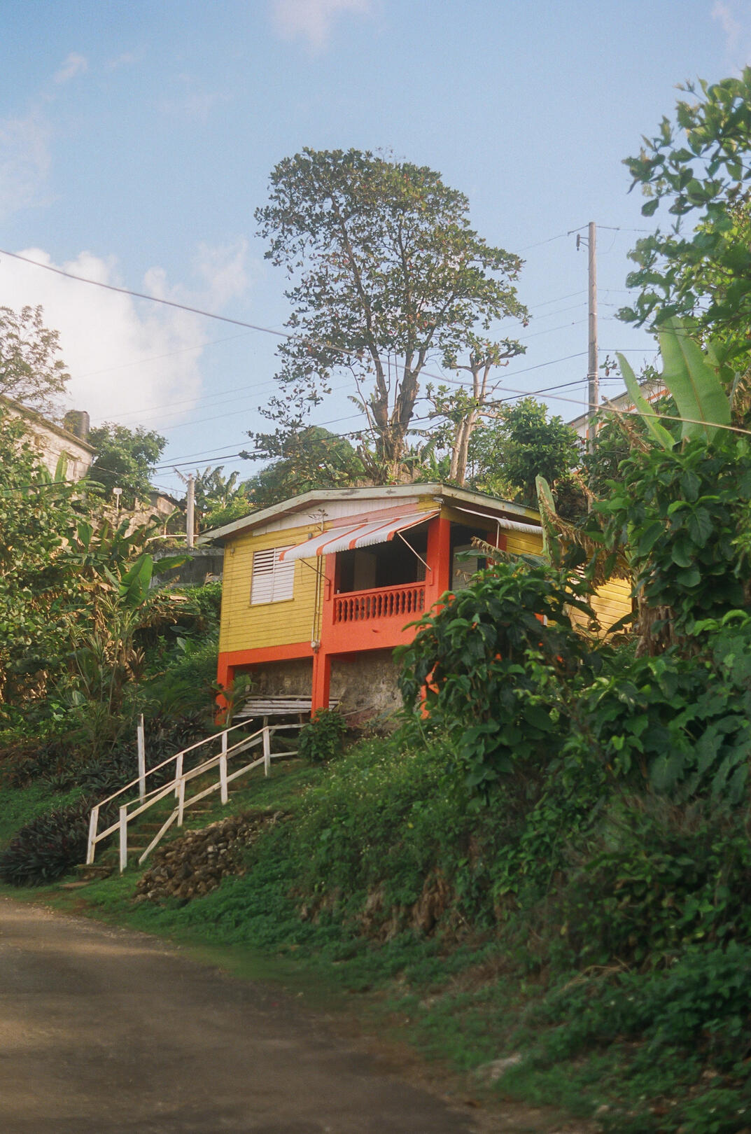 NANICHI [ XAYMACA SERIES ]